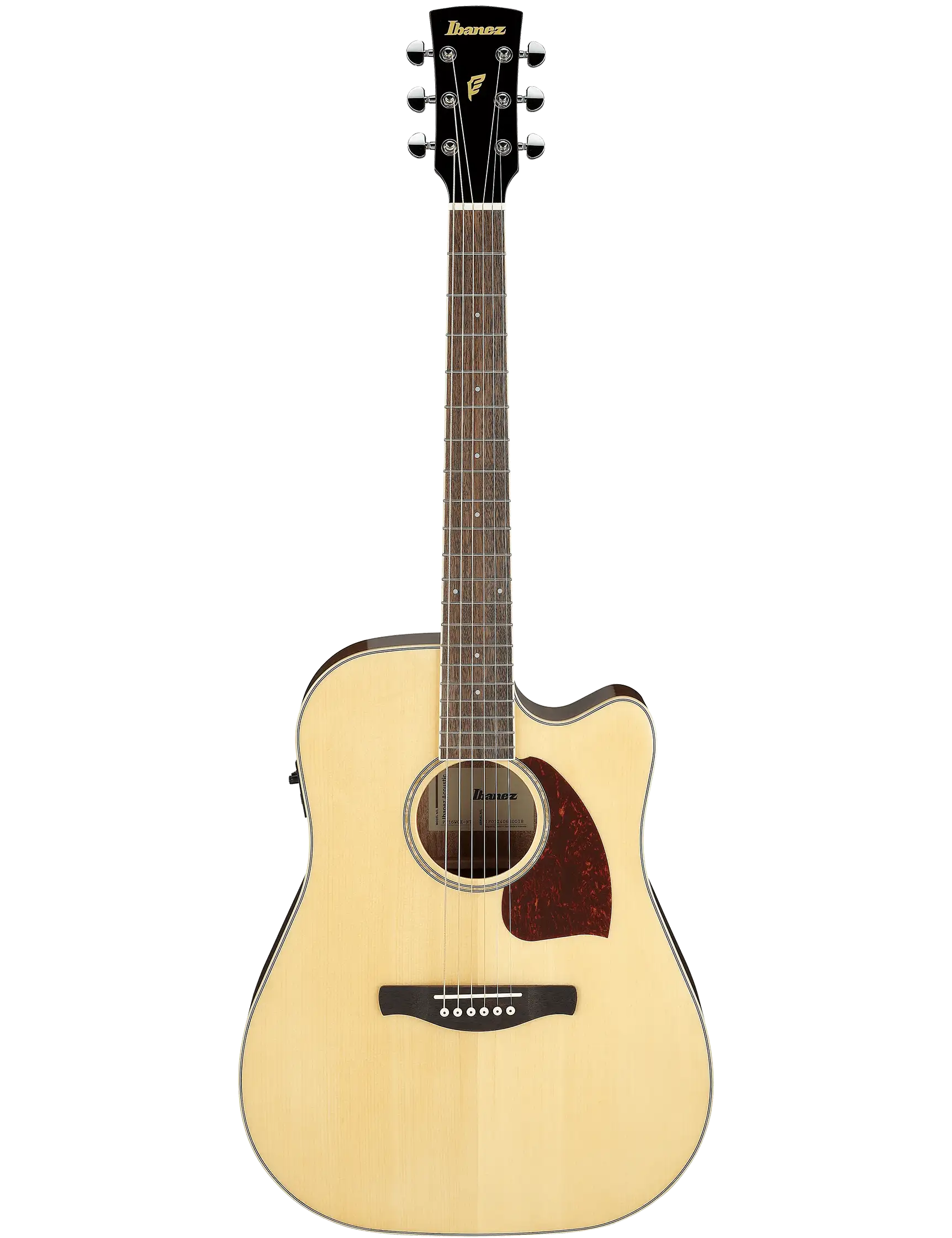 Ibanez PF16WCE